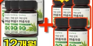 최고의 선택 대마종자유 12박스  대마종자유 6박스(800mg6박스 베스트추천