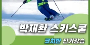 실시간 최고 비발디파크스키강습 구매후기