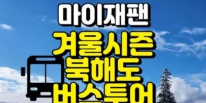 행복한 선택 비에이버스투어 리뷰